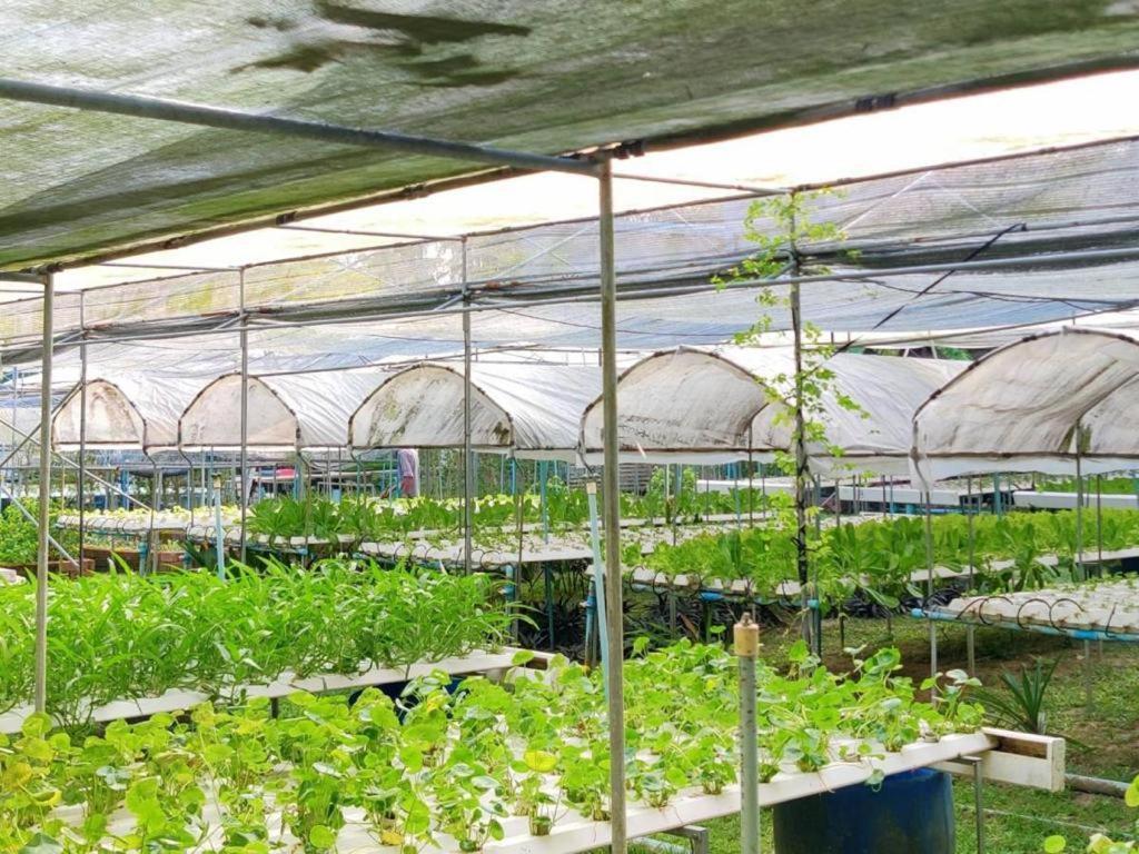 The Willow Phangan Ко Панган Екстериор снимка