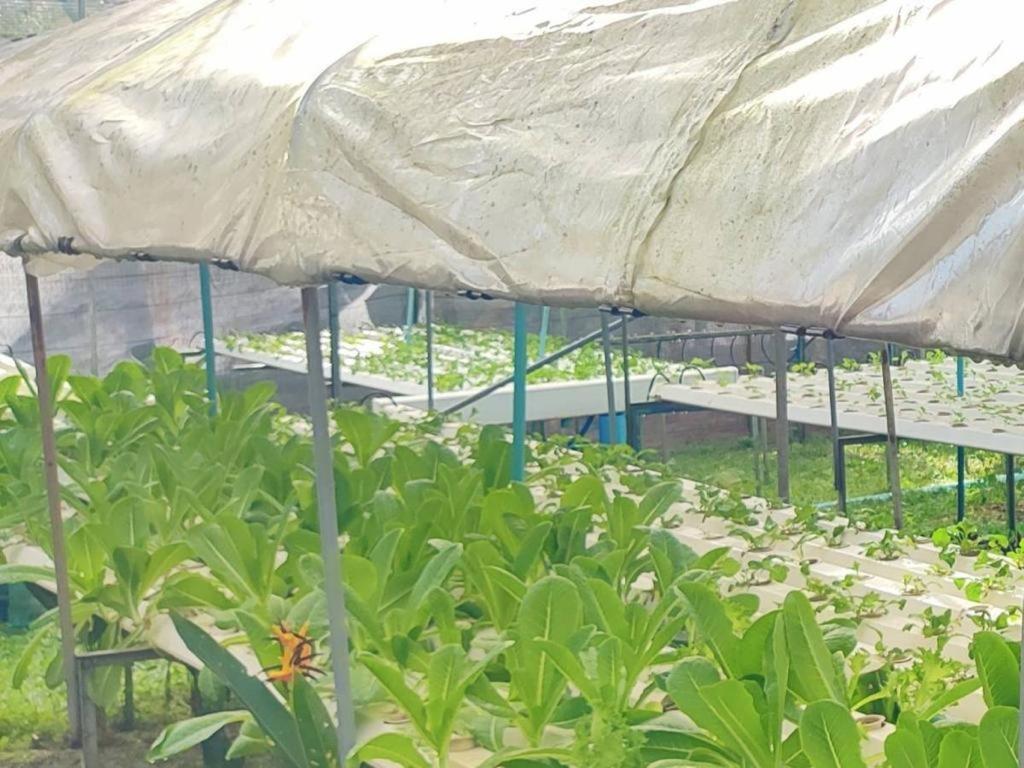 The Willow Phangan Ко Панган Екстериор снимка