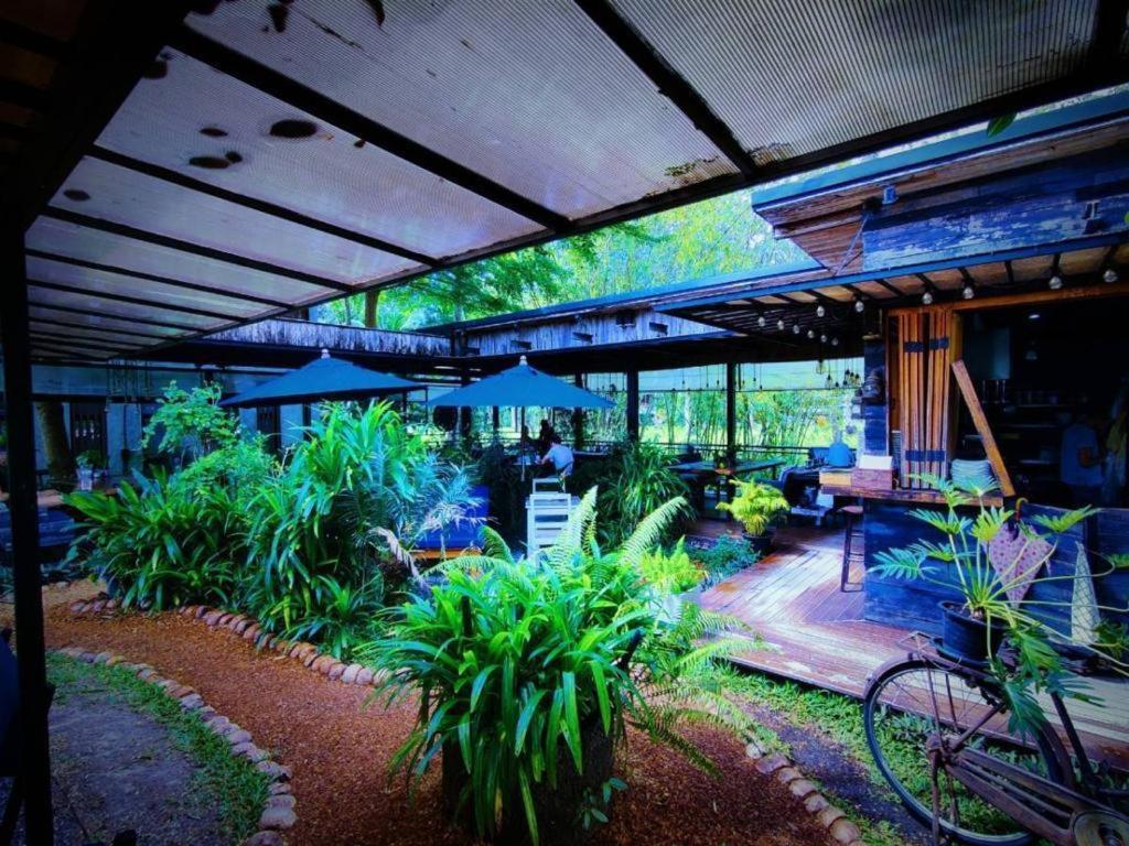 The Willow Phangan Ко Панган Екстериор снимка