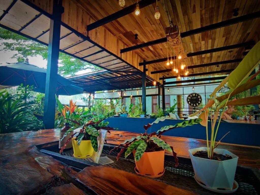 The Willow Phangan Ко Панган Екстериор снимка