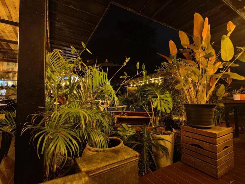 The Willow Phangan Ко Панган Екстериор снимка