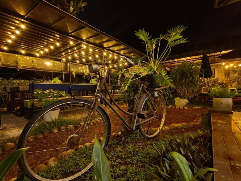 The Willow Phangan Ко Панган Екстериор снимка