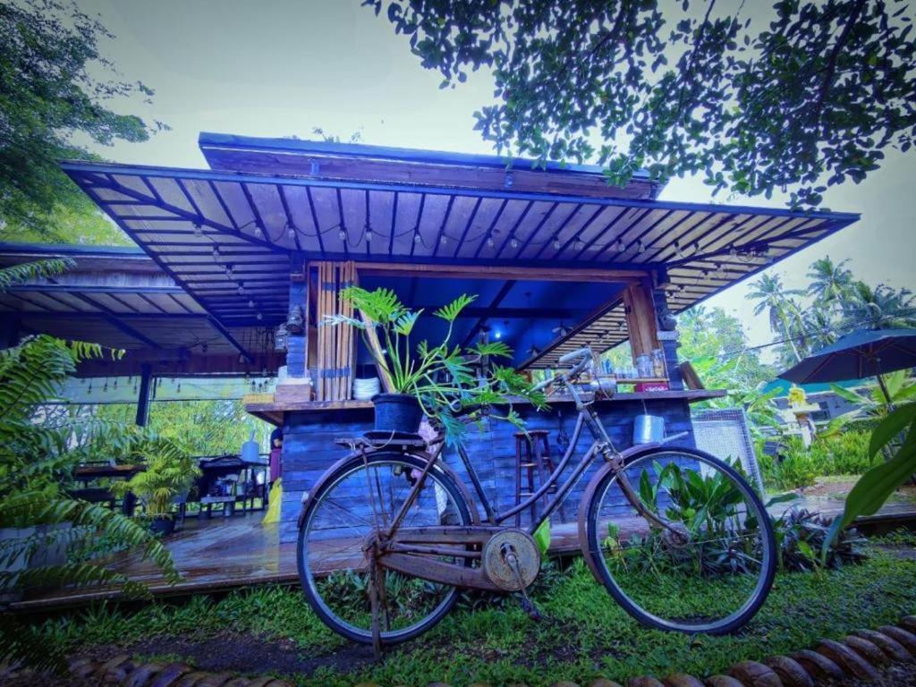 The Willow Phangan Ко Панган Екстериор снимка