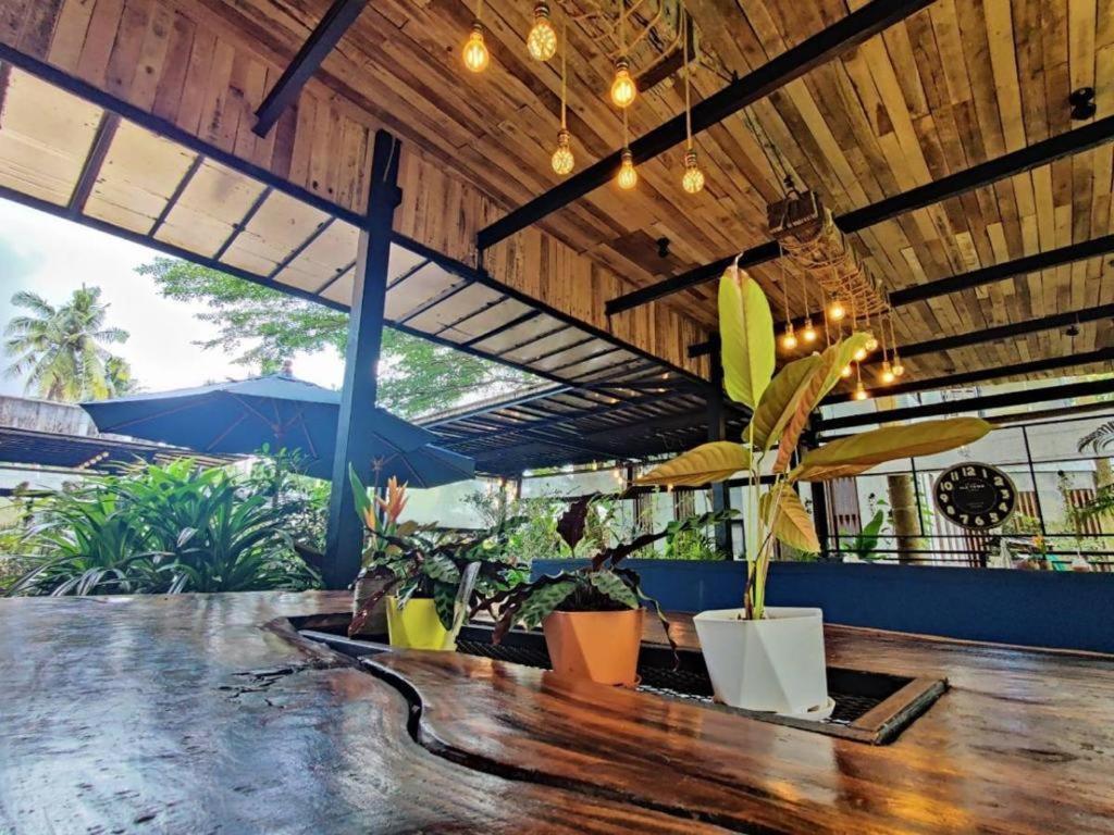 The Willow Phangan Ко Панган Екстериор снимка